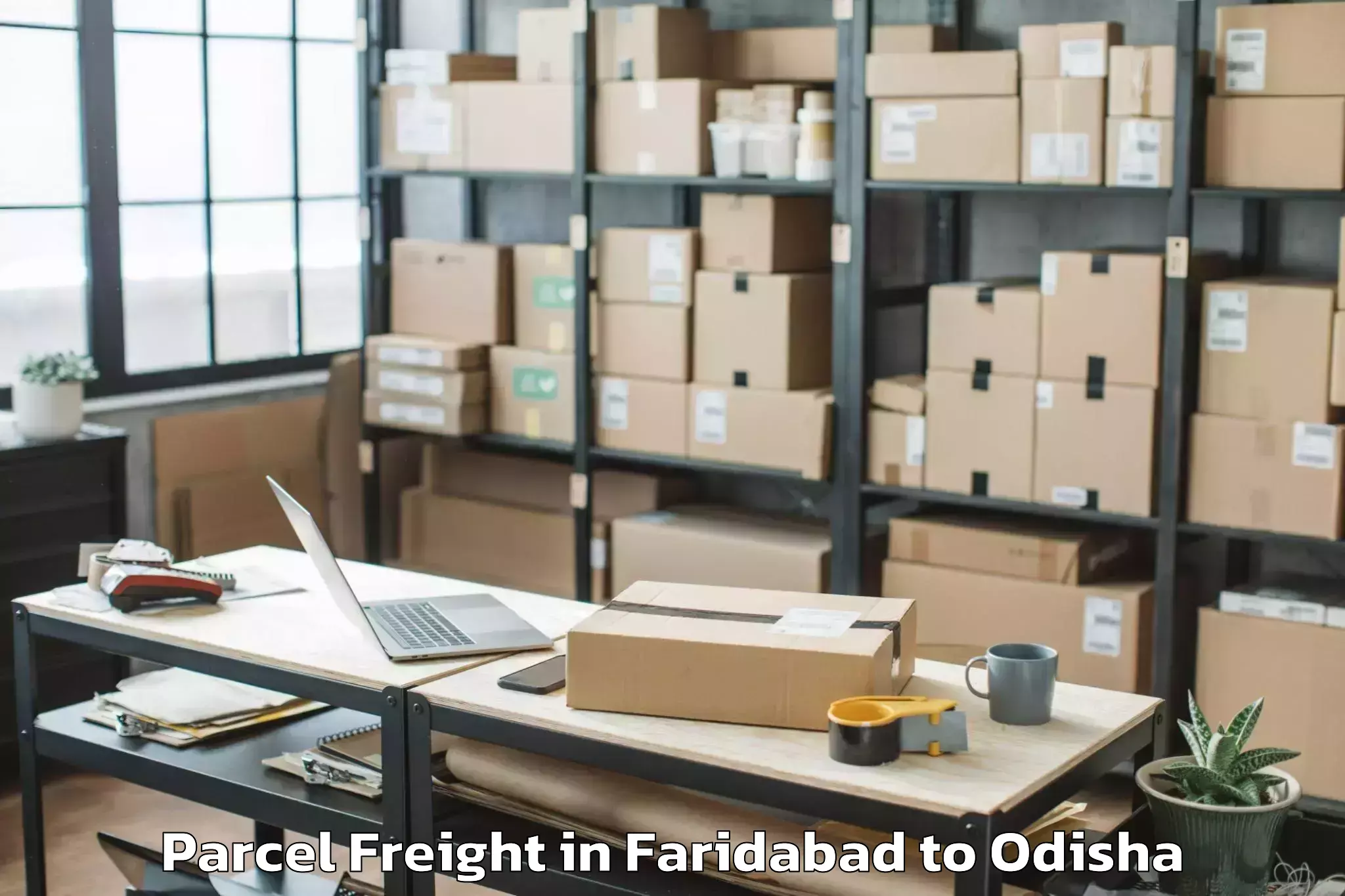 Book Your Faridabad to Khurda Parcel Freight Today